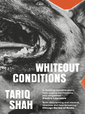 cover image of Whiteout Conditions